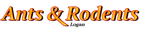 Logan Ant Exterminator & Rodent Control Company Logo